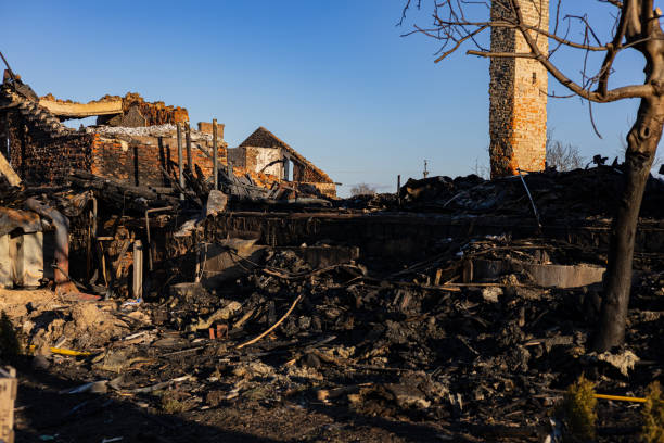 Reliable Odor Removal contractor in Woodville, TX by Meridian Smoke Damage