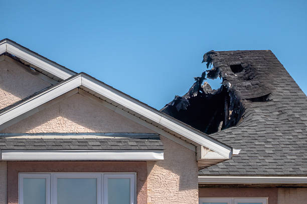 Top rated local Odor Removal specialists in Woodville, TX